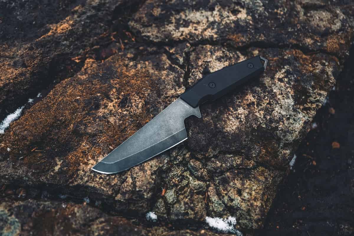 デルタターロン1