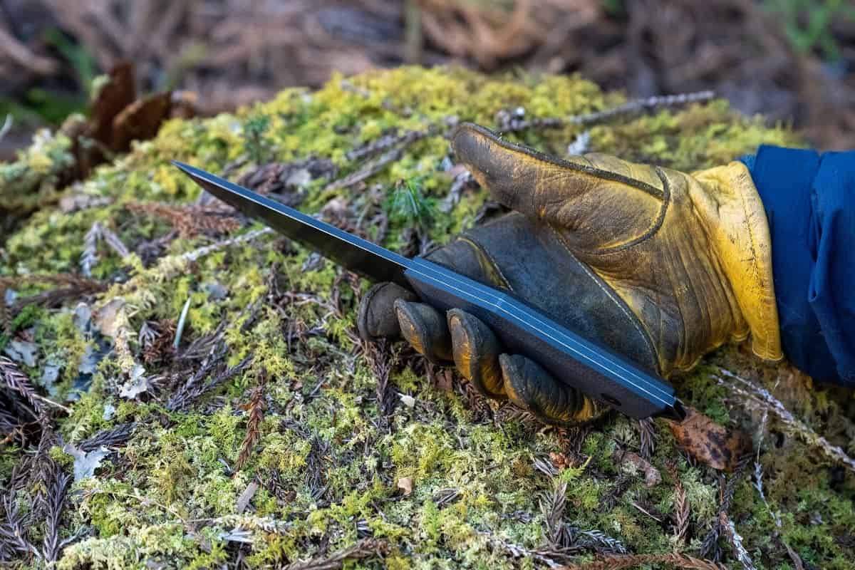 デルタターロン3