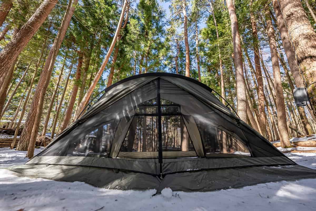 テンビシェルター6