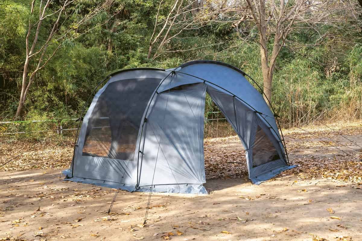 オグニスドーム10