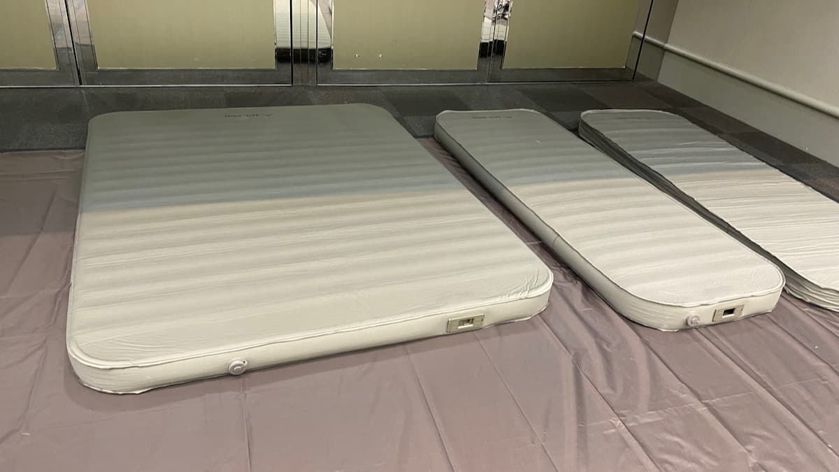 ラーテルワークス リアライゼーション20